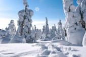 《冰雪舞动》(孙楠&谭晶演唱)的文本歌词及LRC歌词