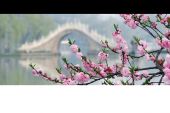 《烟花三月》(童丽演唱)的文本歌词及LRC歌词