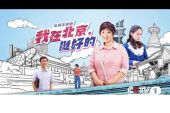 《我在北京挺好的》(何人演唱)的文本歌词及LRC歌词