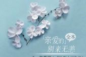 《不是不爱你》(赵齐演唱)的文本歌词及LRC歌词