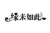 《缘来如此》(姚斯婷演唱)的文本歌词及LRC歌词
