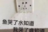 《鱼哭了水知道》(苏童童&蒋墨安演唱)的文本歌词及LRC歌词