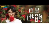 《遇上你多美丽》(木森演唱)的文本歌词及LRC歌词