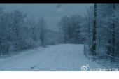 《黑夜落雪》(姚贝娜演唱)的文本歌词及LRC歌词