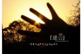 《爱存在》(王诗安演唱)的文本歌词及LRC歌词