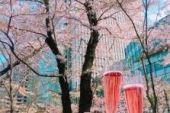 《女生最怕》(王心凌演唱)的文本歌词及LRC歌词
