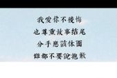 《是不是爱在你走后》(崔伟立演唱)的文本歌词及LRC歌词