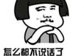 《你不说话》(张力超演唱)的文本歌词及LRC歌词