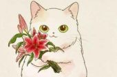 《Which heaven is mine》(云の,泣演唱)的文本歌词及LRC歌词