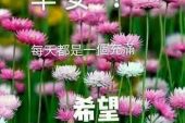 《最美的问候》(品冠演唱)的文本歌词及LRC歌词