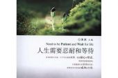 《忍耐与等待》(杨小曼演唱)的文本歌词及LRC歌词
