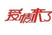 《爱情来了》(胡扬琳演唱)的文本歌词及LRC歌词