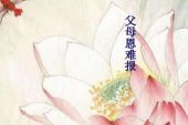 《一生难报父母恩》(龙奔演唱)的文本歌词及LRC歌词