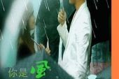 《你是风来我是雨》(凡间精灵演唱)的文本歌词及LRC歌词