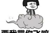 《我要带你飞》(魏楚沅演唱)的文本歌词及LRC歌词