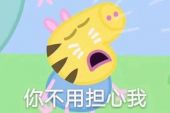 《讨好》(张韶涵演唱)的文本歌词及LRC歌词