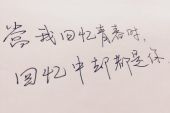 《我的回忆是你的忘记》(张斯斯演唱)的文本歌词及LRC歌词