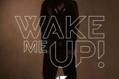 《Wake me up》(倉木麻衣演唱)的文本歌词及LRC歌词
