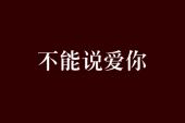 《不能说爱你》(网络歌手演唱)的文本歌词及LRC歌词
