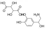 《NORADRENALINE》(ALTIMA演唱)的文本歌词及LRC歌词