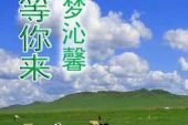 《在草原等你》(陈彩林&杨波演唱)的文本歌词及LRC歌词