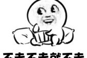 《不走》(小虫演唱)的文本歌词及LRC歌词