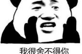 《舍不得也要让你走》(彭亮演唱)的文本歌词及LRC歌词