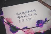 《给 爱人》(萧敬腾演唱)的文本歌词及LRC歌词