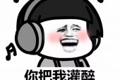 《妳把我灌醉》(黄大炜演唱)的文本歌词及LRC歌词