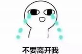 《请你不要离开我》(蔡峰演唱)的文本歌词及LRC歌词
