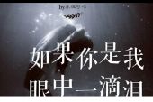 《如果你是我》(范玮琪,周华健演唱)的文本歌词及LRC歌词