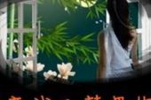 《我又梦见你》(晨熙演唱)的文本歌词及LRC歌词