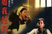 《假如我是真的》(王菲演唱)的文本歌词及LRC歌词