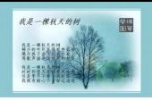 《我是一棵秋天的树》(林安咛演唱)的文本歌词及LRC歌词