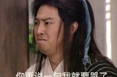 《想哭了》(李泽坚演唱)的文本歌词及LRC歌词