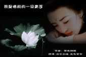 《我是佛前一朵青莲》(陶莹演唱)的文本歌词及LRC歌词