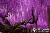 《世界都在看》(羽泉演唱)的文本歌词及LRC歌词