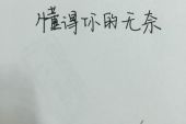 《我只想你懂》(成龙演唱)的文本歌词及LRC歌词