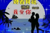 《对着月亮说声我爱你》(一只舟演唱)的文本歌词及LRC歌词