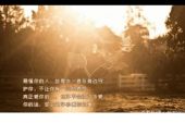 《爱情PK》(艾晴晴演唱)的文本歌词及LRC歌词