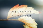 《爱受伤了》(六哲演唱)的文本歌词及LRC歌词