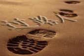 《过路人》(郑少秋演唱)的文本歌词及LRC歌词