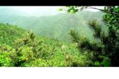 《山野的风》(吴琼演唱)的文本歌词及LRC歌词