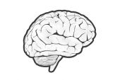 《Brain》(K-2演唱)的文本歌词及LRC歌词