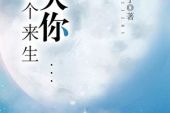 《预约下一个来生》(许许如声演唱)的文本歌词及LRC歌词