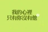 《我的心里只有你没有他》(雪儿演唱)的文本歌词及LRC歌词