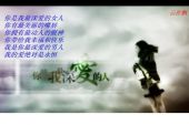 《你就是我最深爱的女人》(储维演唱)的文本歌词及LRC歌词