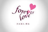 《0F~Love Forever~》(岸尾だいすけ演唱)的文本歌词及LRC歌词