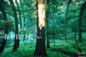 《Belief ~春を待つ君へ~》(flumpool×Mayday演唱)的文本歌词及LRC歌词