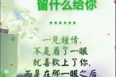 《留什么给你》(王亮演唱)的文本歌词及LRC歌词